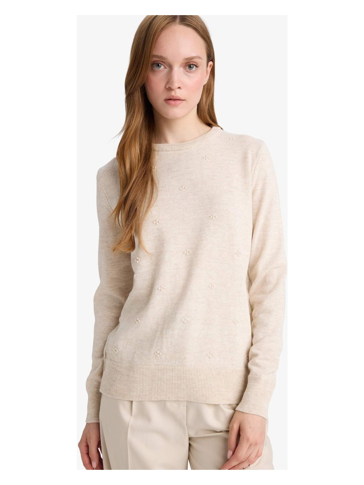 DeFacto Regular Fit Bisiklet Yaka Triko Kazak F4084AX25WN