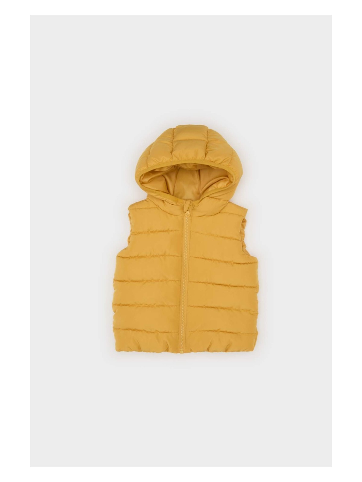 DeFacto Su Geçirmez Kapüşonlu Fermuarlı Tafta Şişme Yelek Erkek Bebek A2221A525AU - Görsel 3