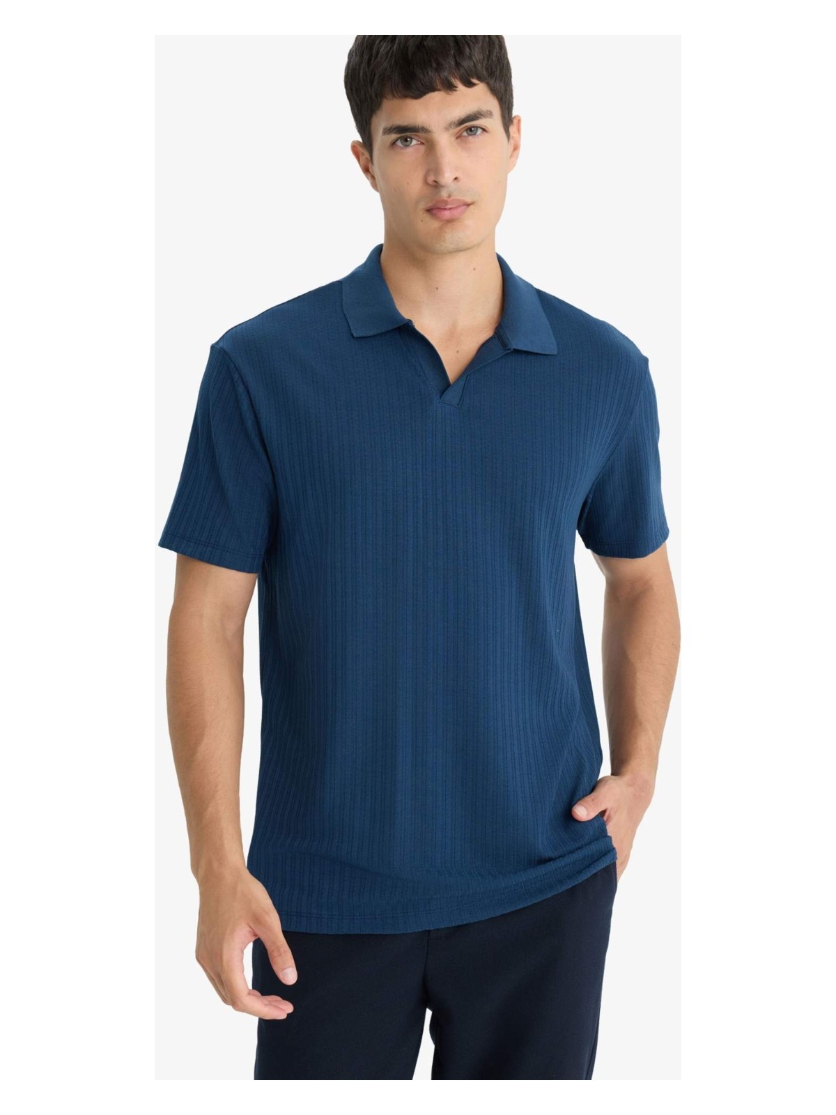 DeFacto Regular Fit Krinkıl Dikey Dokulu Hafif Kumaş Polo Yaka Kısa Kollu Tişört E1207AX25AU - Görsel 4