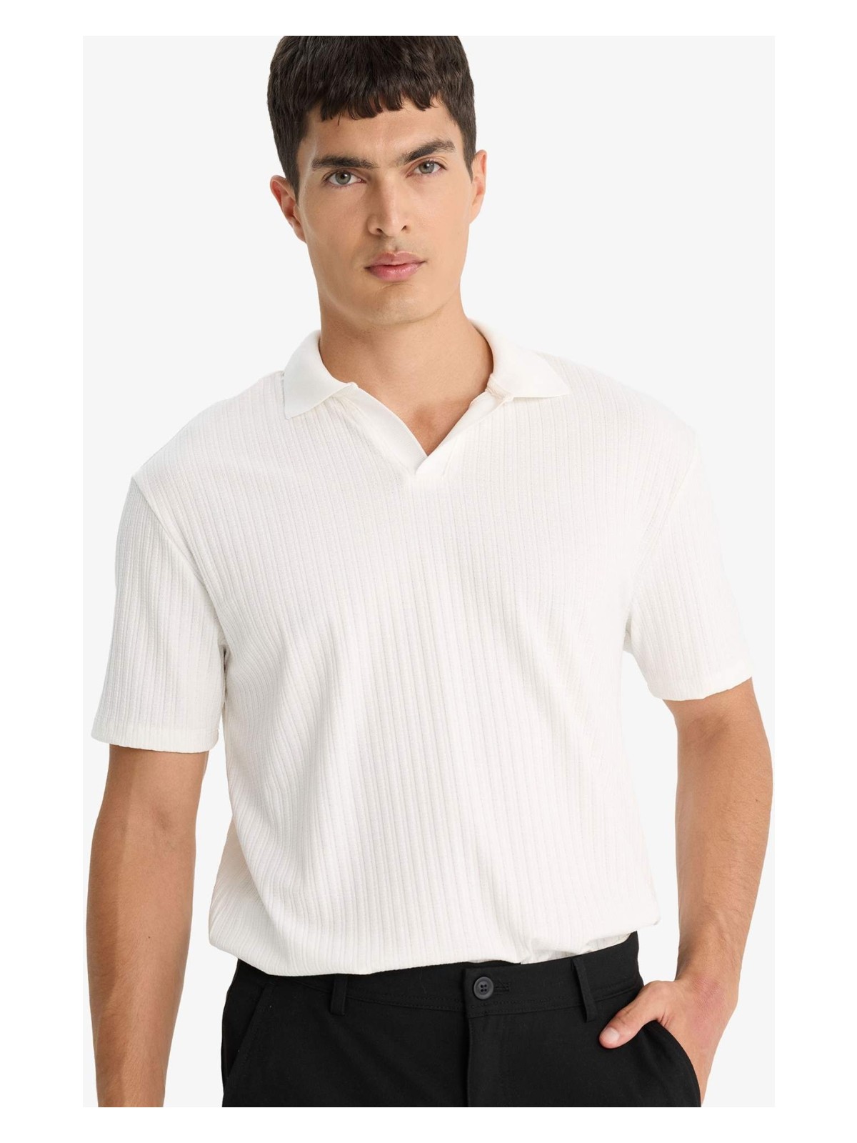 DeFacto Regular Fit Krinkıl Dikey Dokulu Hafif Kumaş Polo Yaka Kısa Kollu Tişört E1207AX25AU - Görsel 3