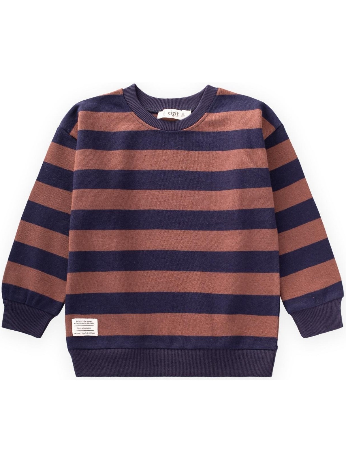Cigit Çizgili Triko Sweatshırt 2-12 Yaş Mavi Pudra - Görsel 6