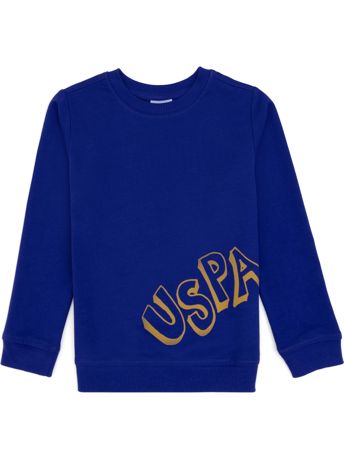 U.S. Polo Assn. Erkek Çocuk Mor Bisiklet Yaka Basic Sweatshirt 50313979-VR038