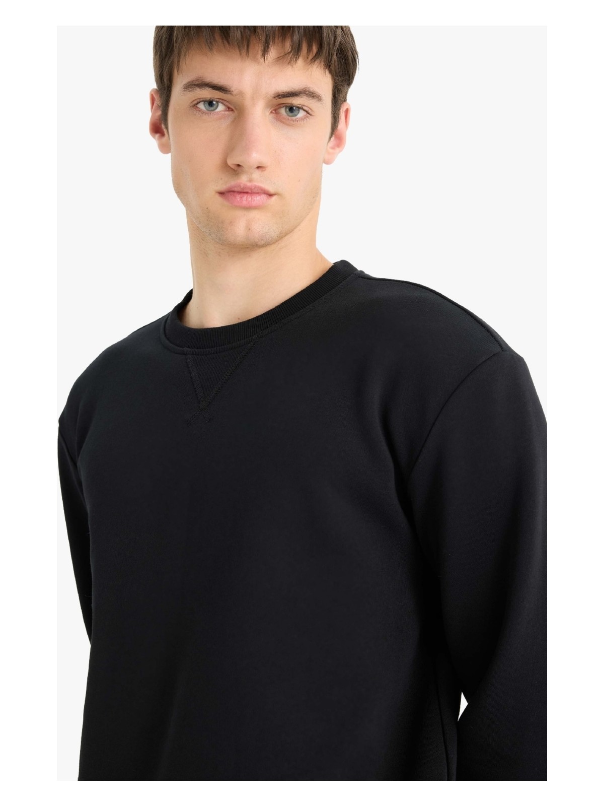DeFacto Regular Fit Bisiklet Yaka Basic Düz Kalın Sweatshirt T3777AZ25AU