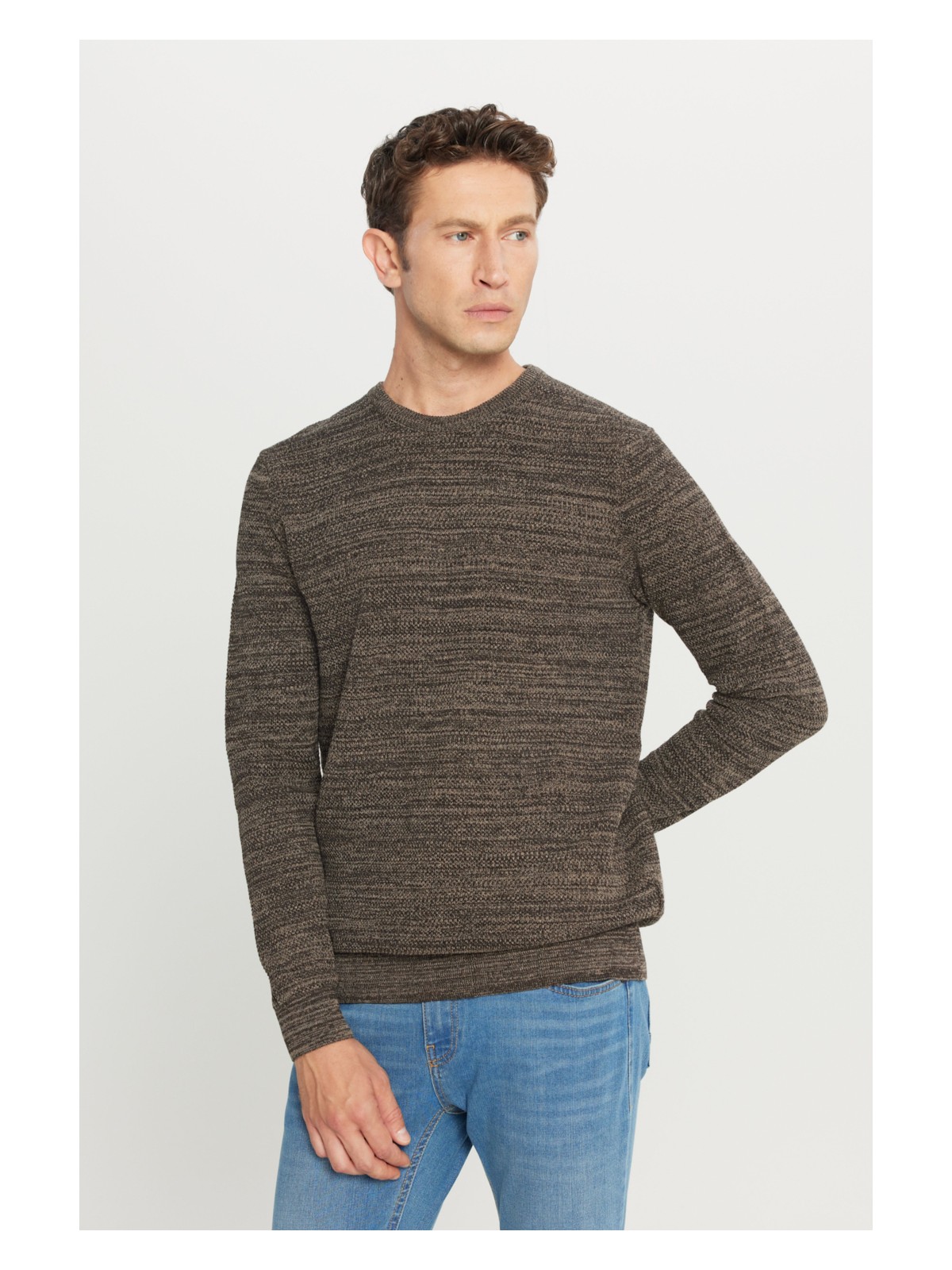 Altınyıldız Classics Erkek Bronz-grı Standart Fit Normal Kesim Bisiklet Yaka Desenli Triko Kazak - Görsel 5