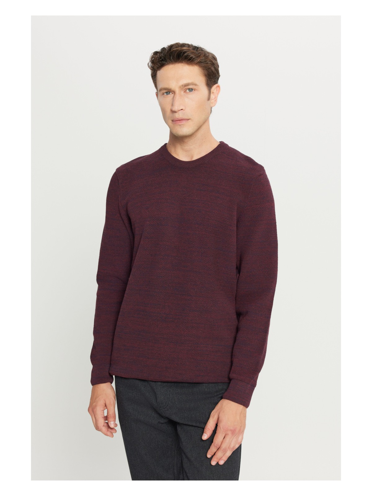 Altınyıldız Classics Erkek Bronz-grı Standart Fit Normal Kesim Bisiklet Yaka Desenli Triko Kazak - Görsel 9