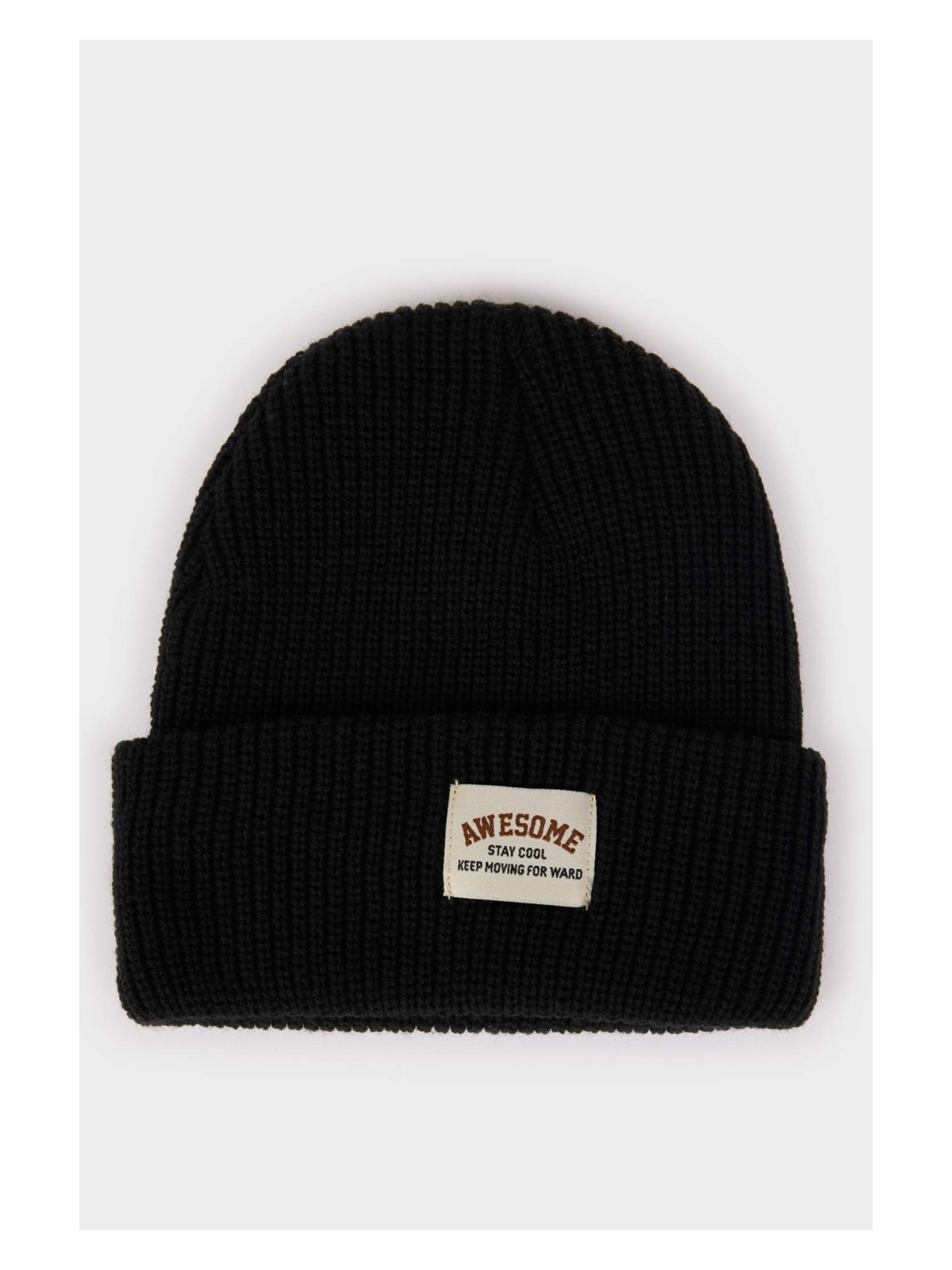 DeFacto Triko Bere Erkek Çocuk C8580A825WN