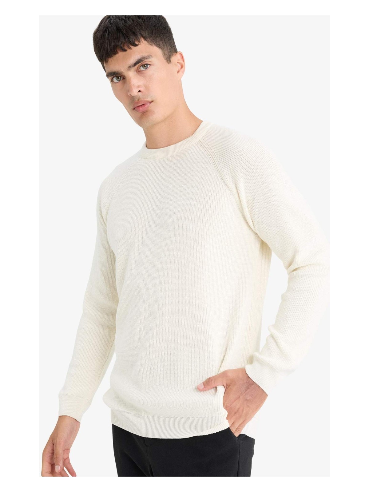 DeFacto Standart Fit Bisiklet Yaka Triko Kazak A8458AX25WN - Görsel 4