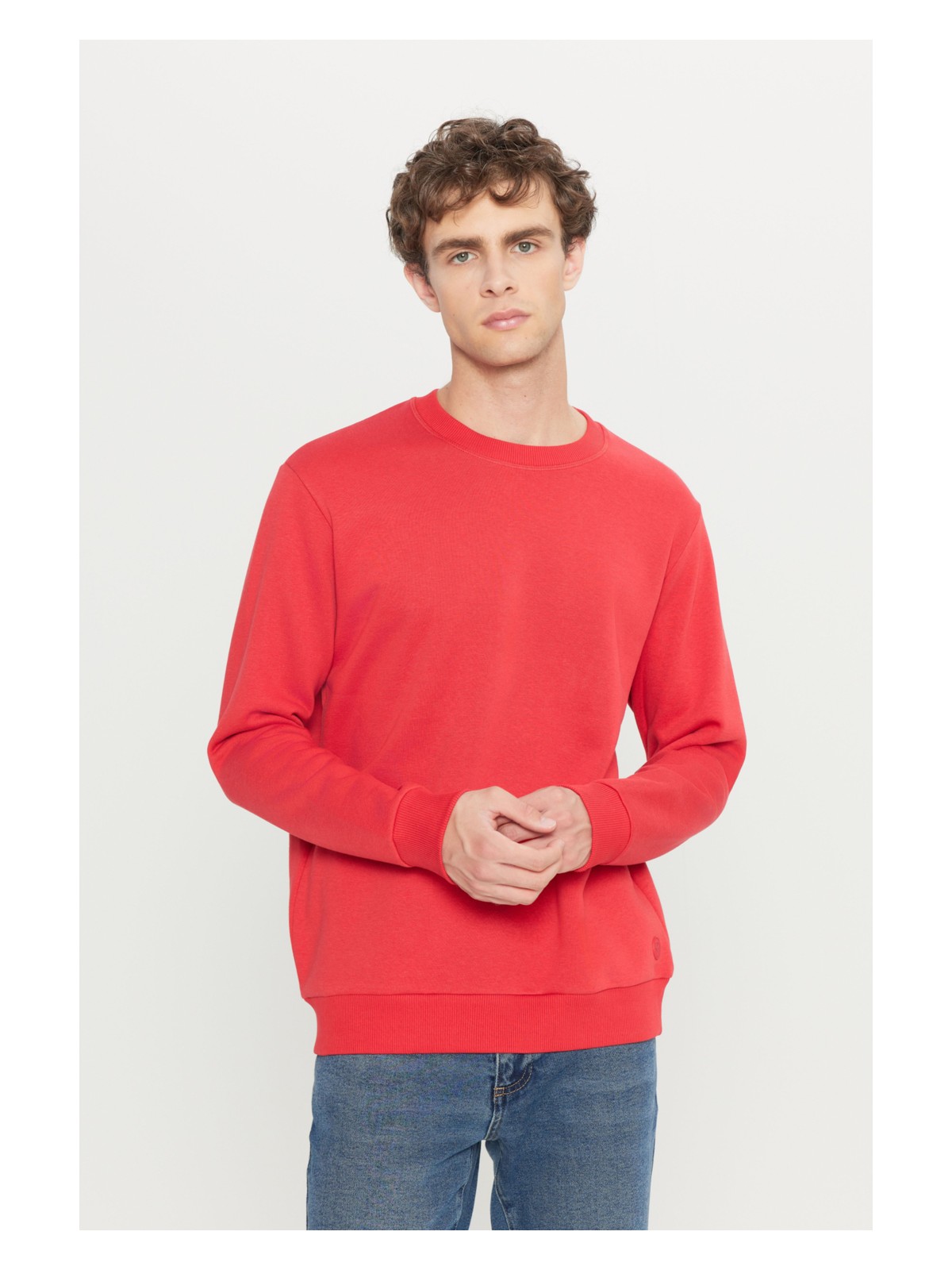 Altınyıldız Classics Erkek Hardal Standart Fit Normal Kesim Içi Polarlı 3 Iplik Bisiklet Yaka Pamuklu Sweatshirt - Görsel 3