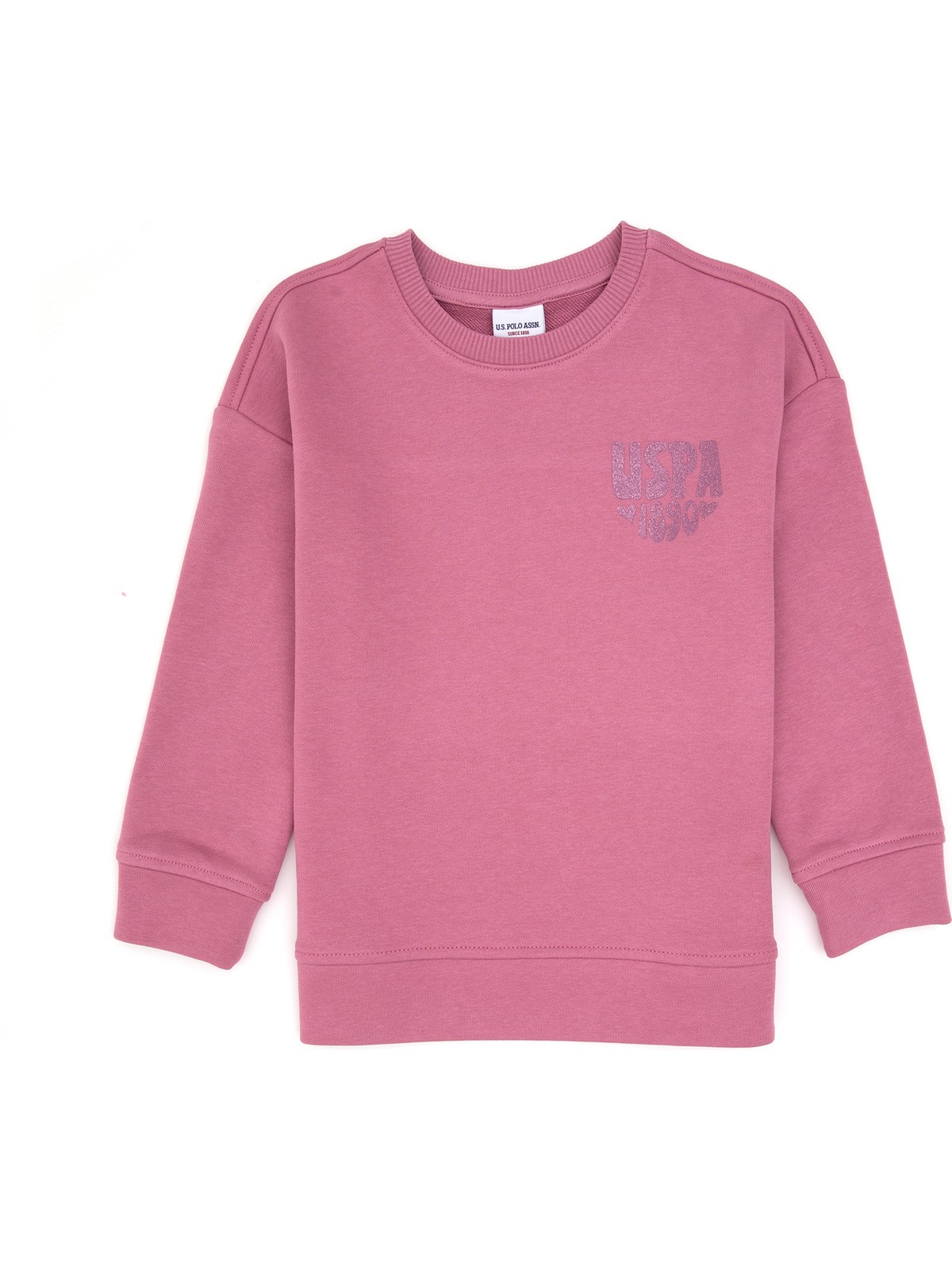 U.S. Polo Assn. Kız Çocuk Mint Simli Baskı Detaylı Bisiklet Yaka Basic Sweatshirt 50314289-VR090 - Görsel 3