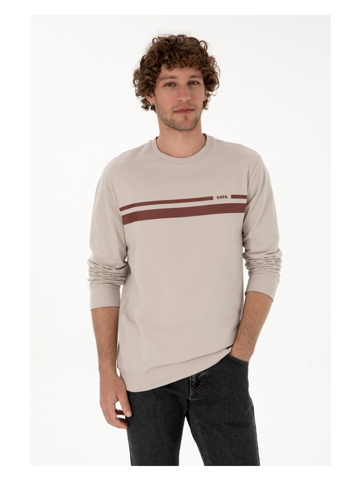U.S. Polo Assn. Erkek Regular Fit Bisiklet Yaka Taş İnce Sweatshirt 50313801-VR049