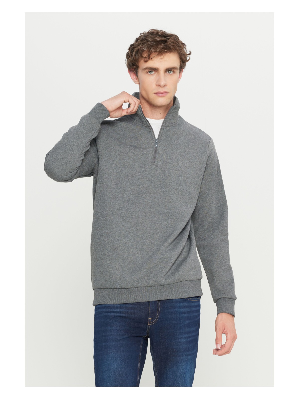 Altınyıldız Classics Erkek Bej Standart Fit Normal Kesim Dik Bato Yaka Pamuklu Sweatshirt - Görsel 4