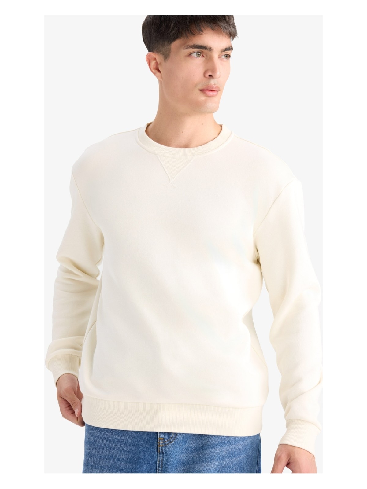 DeFacto Regular Fit Bisiklet Yaka Basic Düz Kalın Sweatshirt T3777AZ25AU - Görsel 5