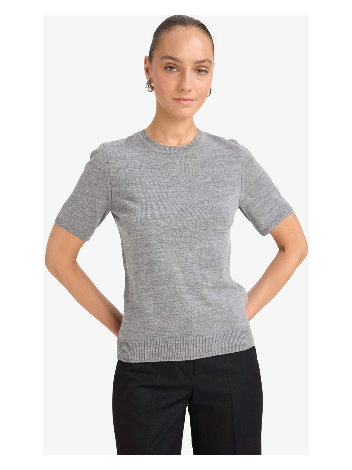 DeFacto Regular Fit Bisiklet Yaka Kısa Kollu Triko Kazak E6810AX25AU - Görsel 5