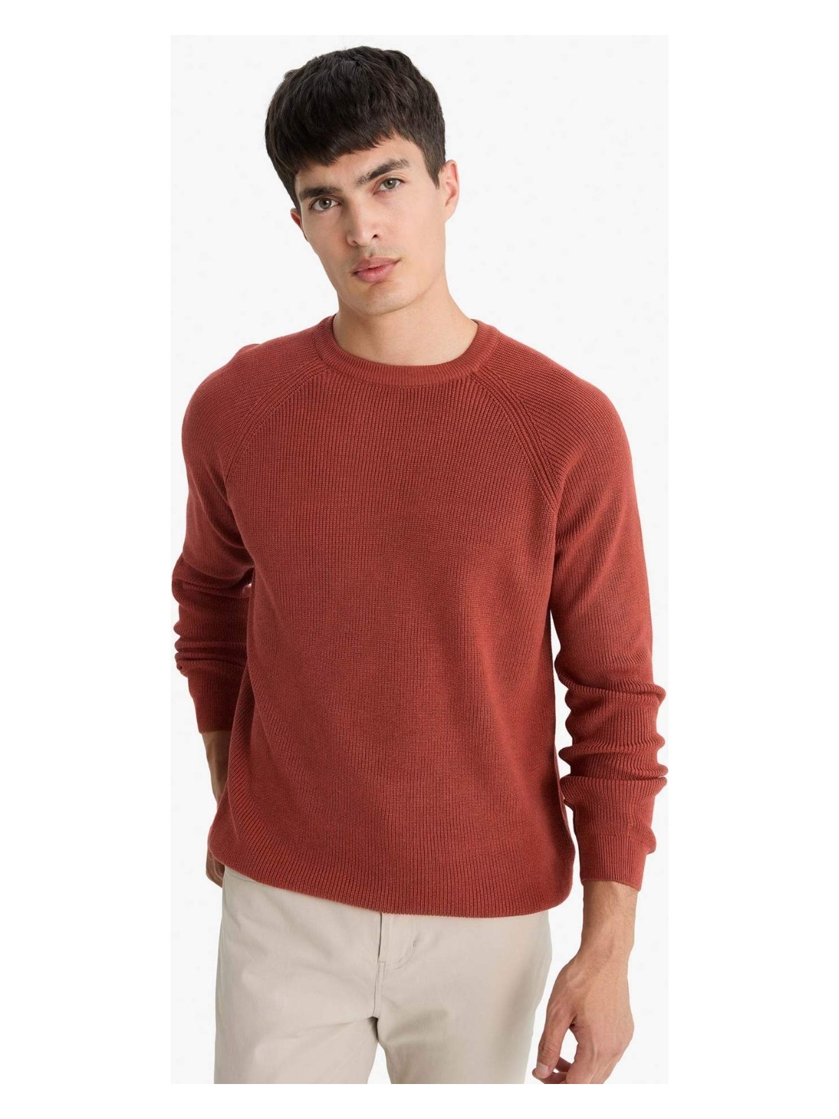 DeFacto Standart Fit Bisiklet Yaka Triko Kazak A8458AX25WN - Görsel 3