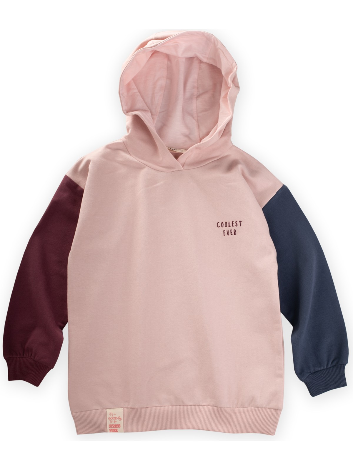 Cigit Multicolor Sweatshirt 5-12 Yaş Pudra