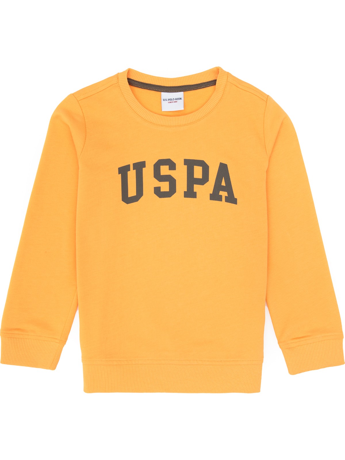 U.S. Polo Assn. Erkek Çocuk Mango Bisiklet Yaka Basic Sweatshirt 50313830-VR244