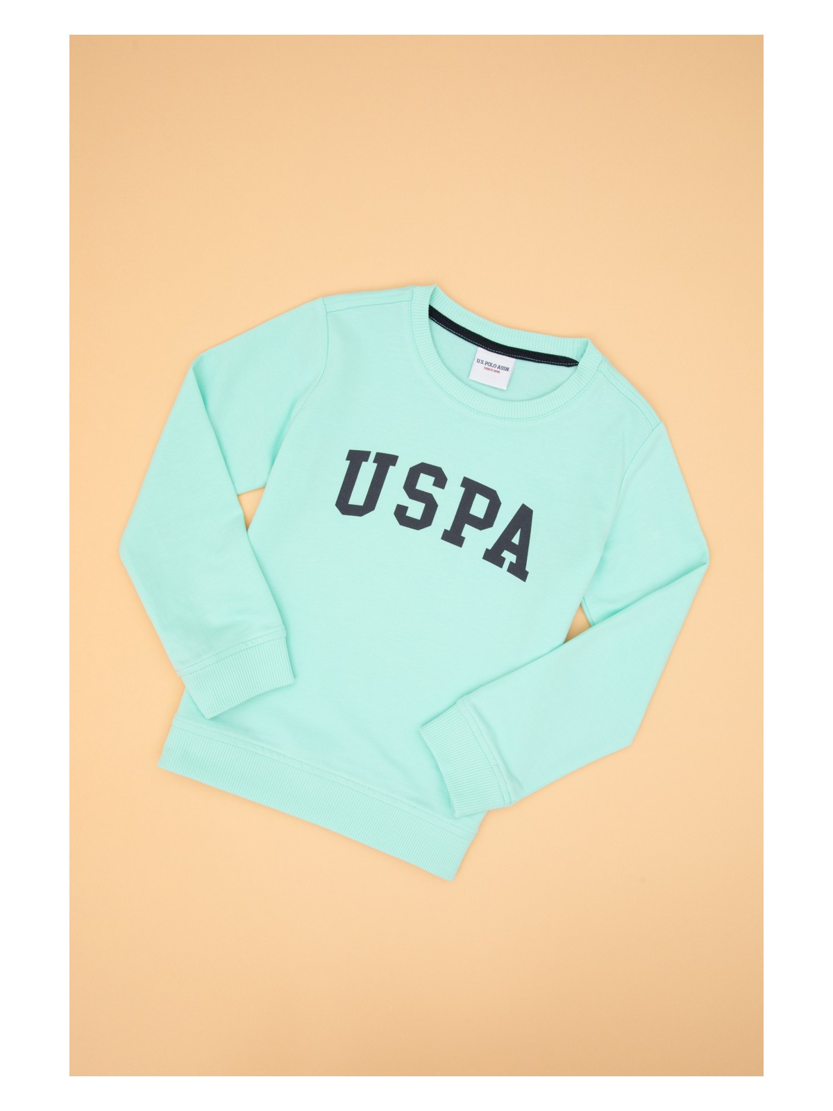 U.S. Polo Assn. Erkek Çocuk Mor Basic Bisiklet Yaka Sweatshirt 50313830-VR038 - Görsel 3