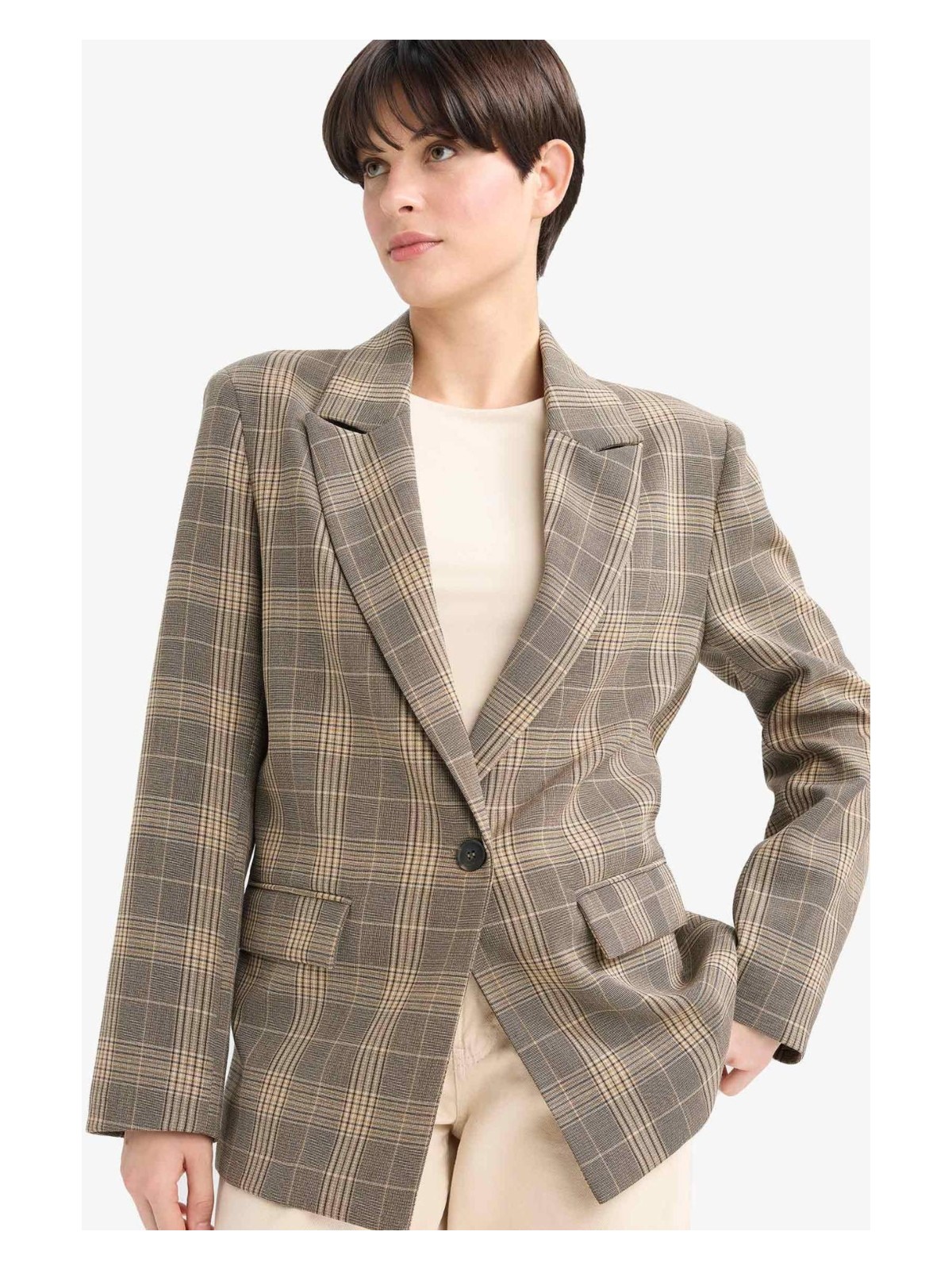 DeFacto Regular Fit Kareli Blazer Ceket G0678AX25AU