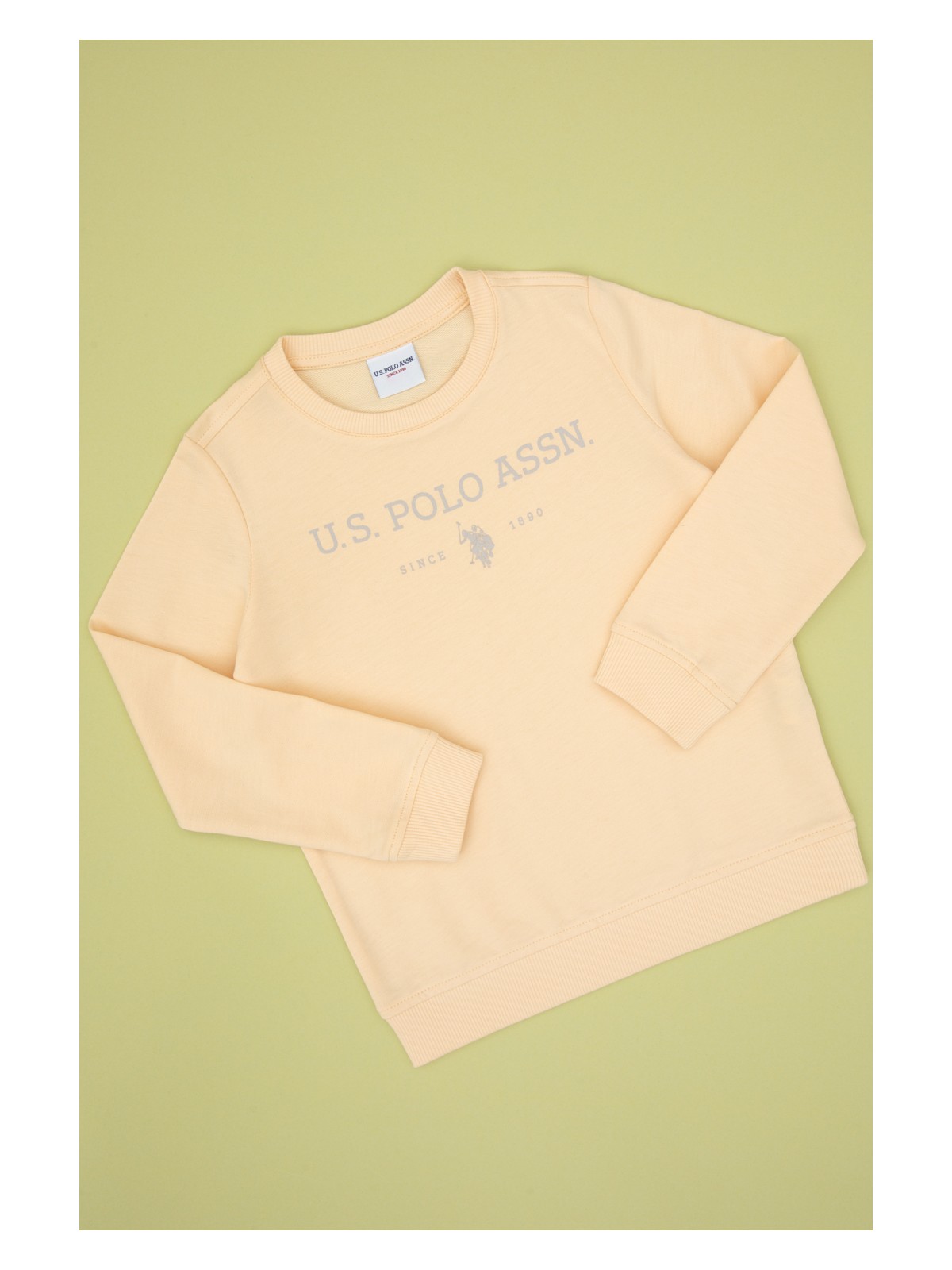 U.S. Polo Assn. Erkek Çocuk Pembe Bisiklet Yaka Sweatshirt 50313900-VR053