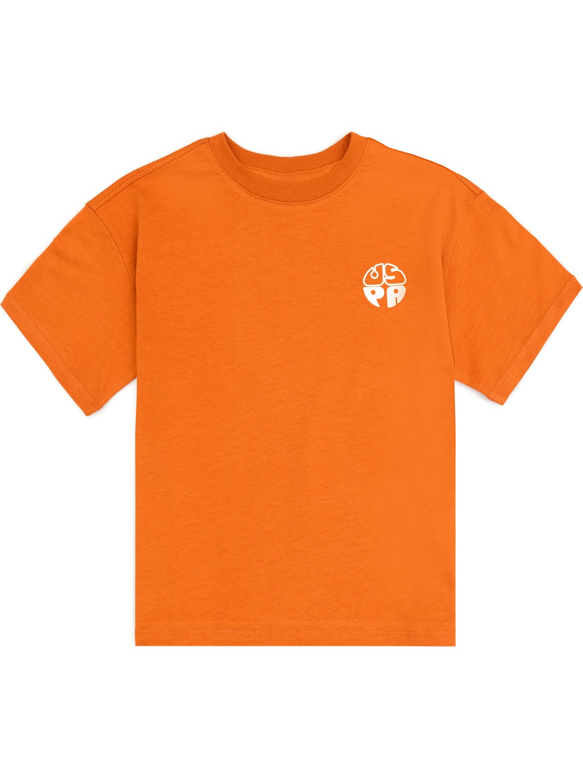 U.S. Polo Assn. Erkek Çocuk Mint Bisiklet Yaka Basic Tişört 50313887-VR090 - Görsel 5