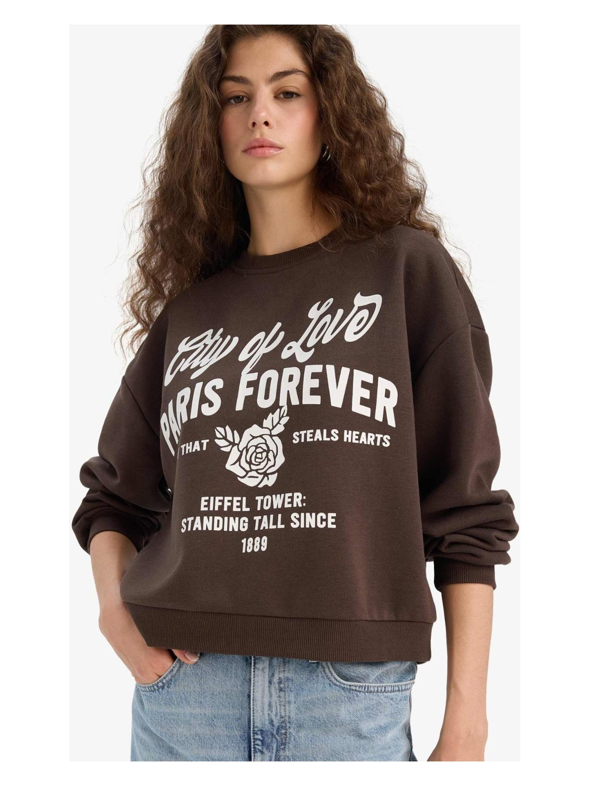 DeFacto Regular Fit Bisiklet Yaka Baskılı Sweatshirt E8602AX25WN