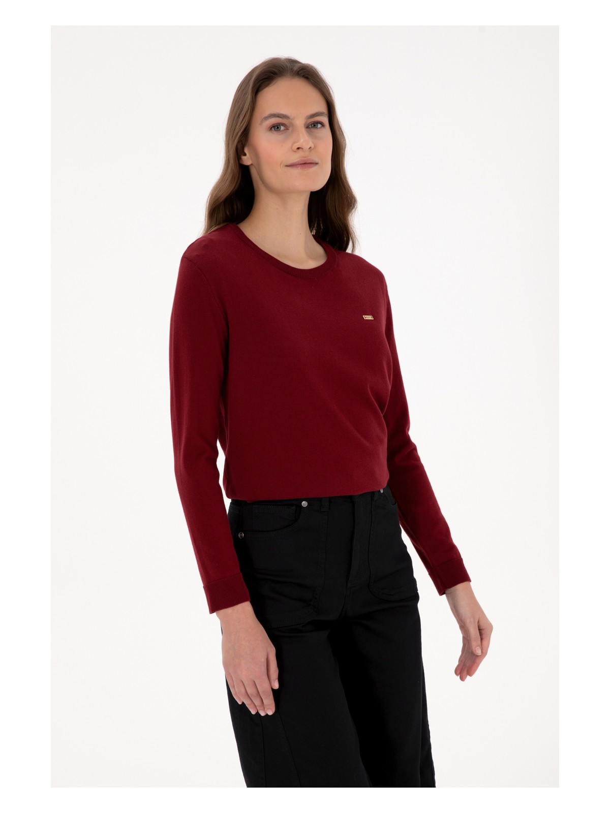 U.S. Polo Assn. Kadın Siyah Bisiklet Yaka Basic Kazak 50313579-VR046 - Görsel 4