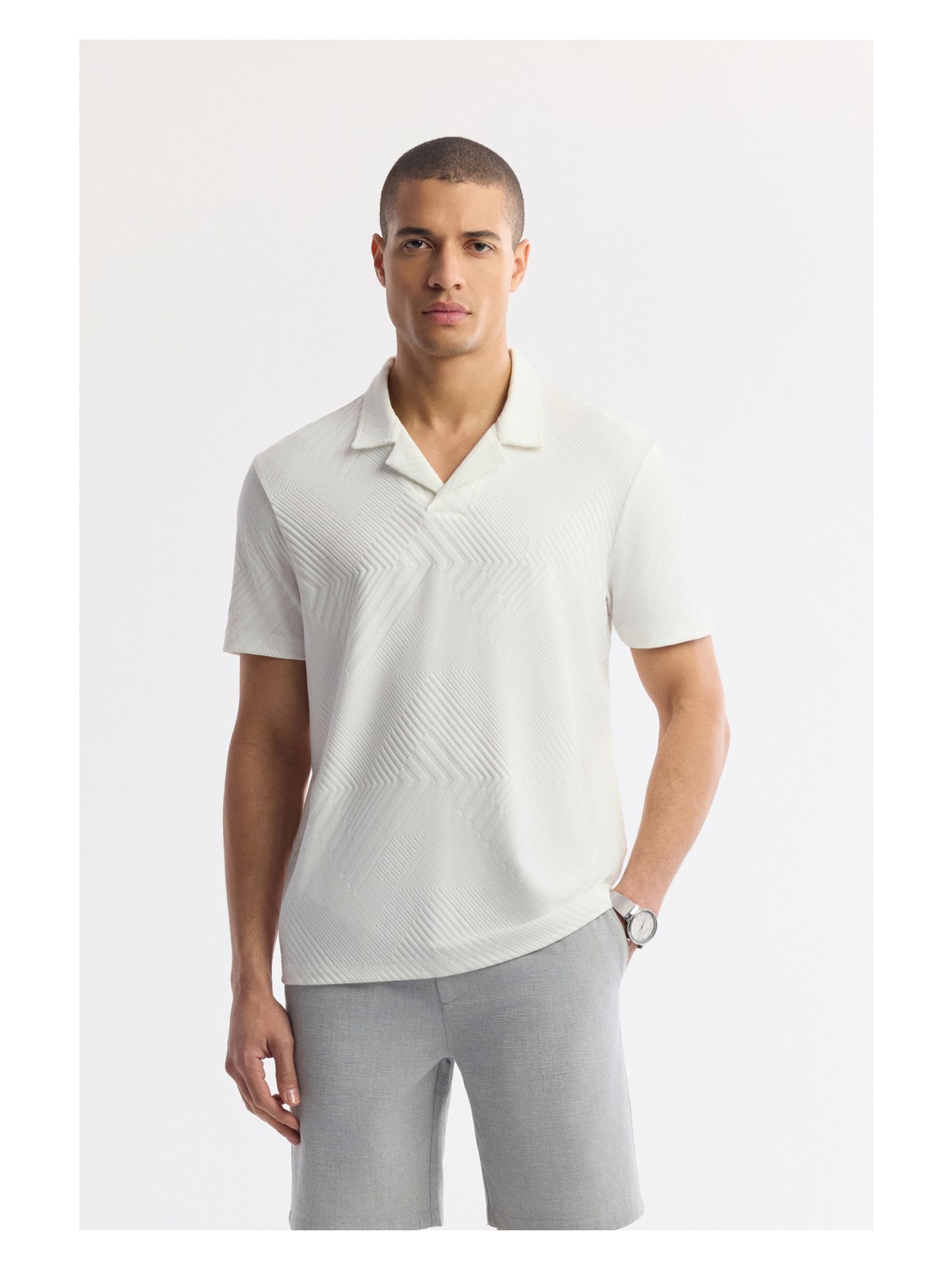 AVVA Erkek Gri Apaj Yaka Çizgili Jakarlı Elastan Regular Fit T-Shirt A51Y1145 - Görsel 5