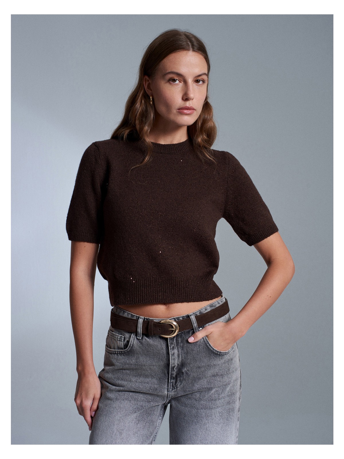 Dilvin 10703 Parıltılı Kısa Kollu Triko Kazak-Kahve