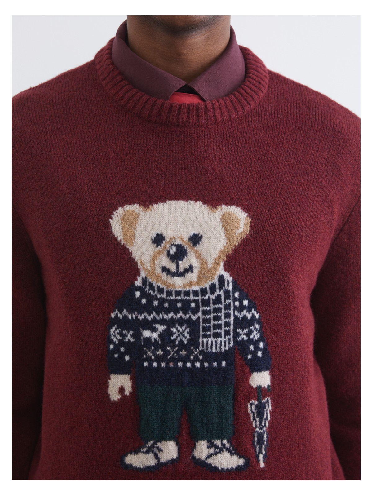 Lcw Vision Bisiklet Yaka Ayı Teddy Baskılı Erkek Triko Kazak - Görsel 3