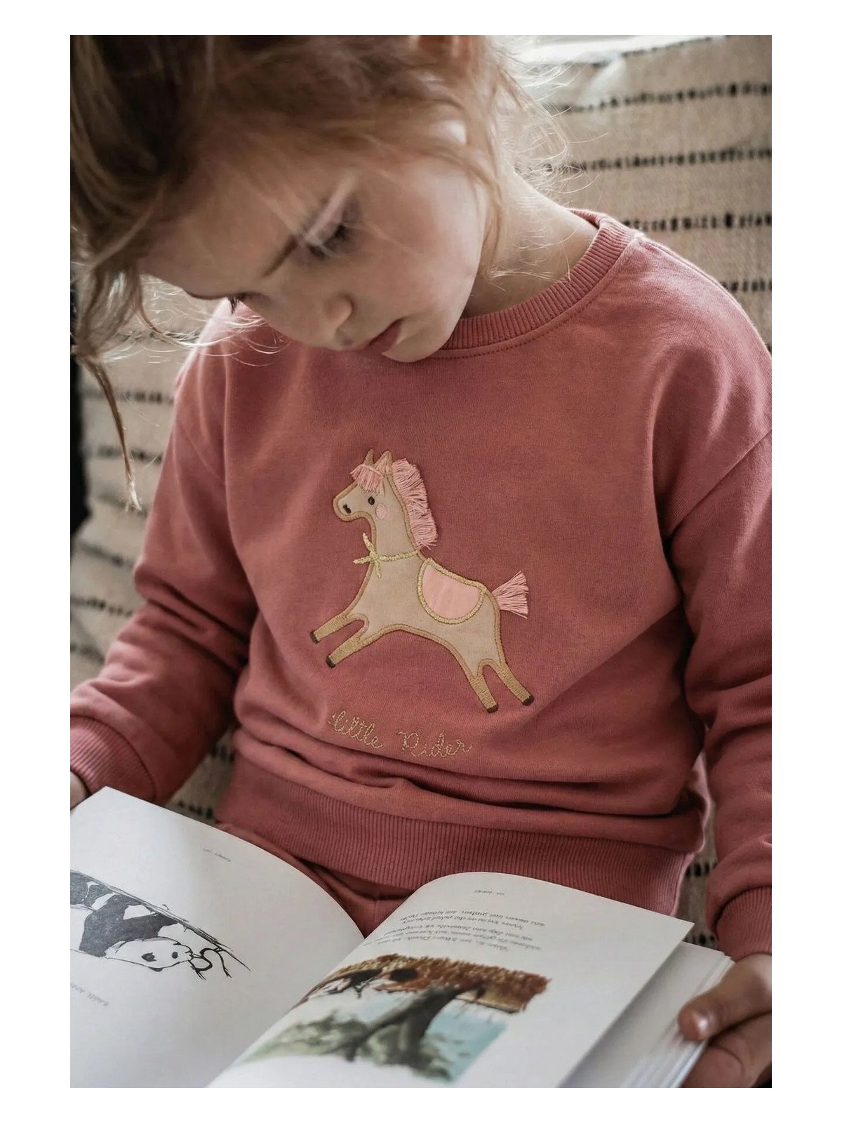 Cigit At Aplikeli Sweatshirt 1-6 Yaş Lacivert - Görsel 3