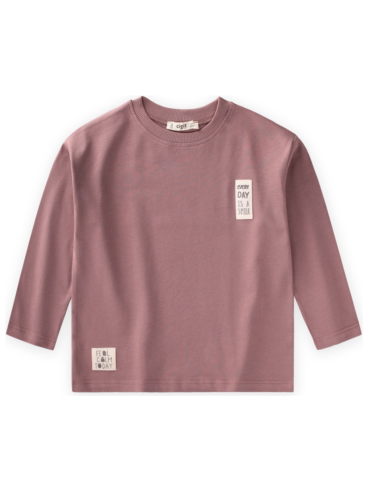 Cigit Etiket Detaylı Mevsimlik T-Shırt 2-10 Yaş K Pembe - Görsel 4