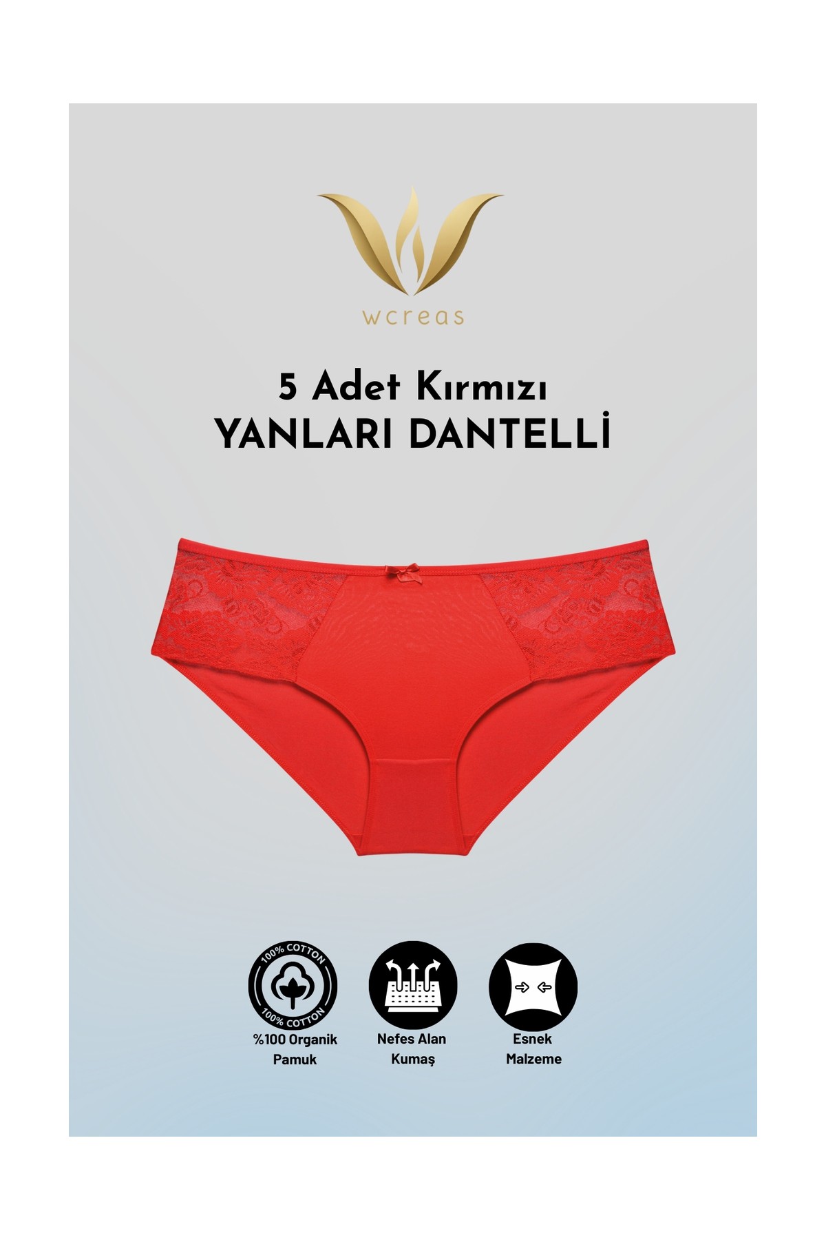 wcreas Yanları Dantelli Pamuklu Kadın Bato Külot, 5'li Paket Pamuklu Yumuşak Kumaş Dantelli Külot görsel 8
