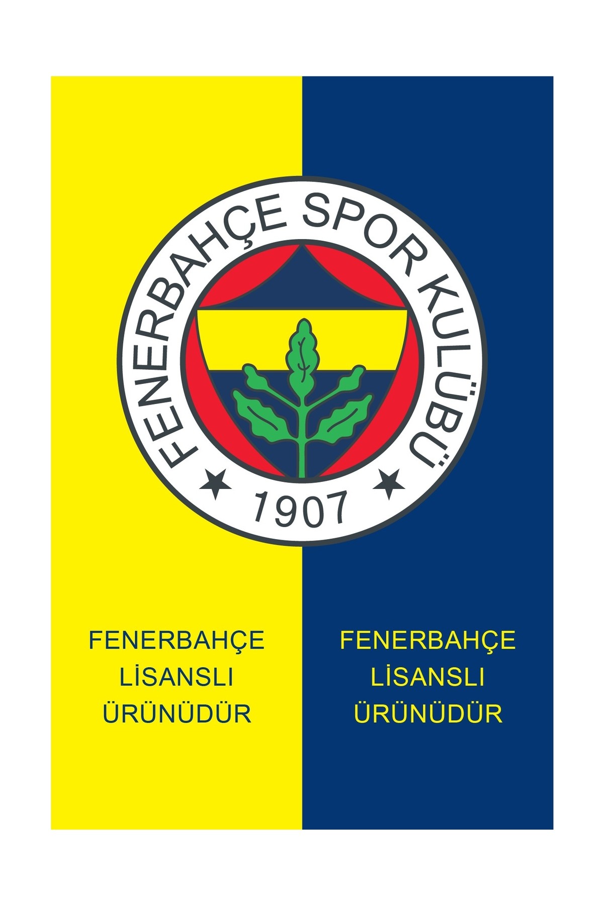 Fenerbahçe Saadettin Saran Desenli Kaşkol Uv Kutu Hediyeli görsel 6