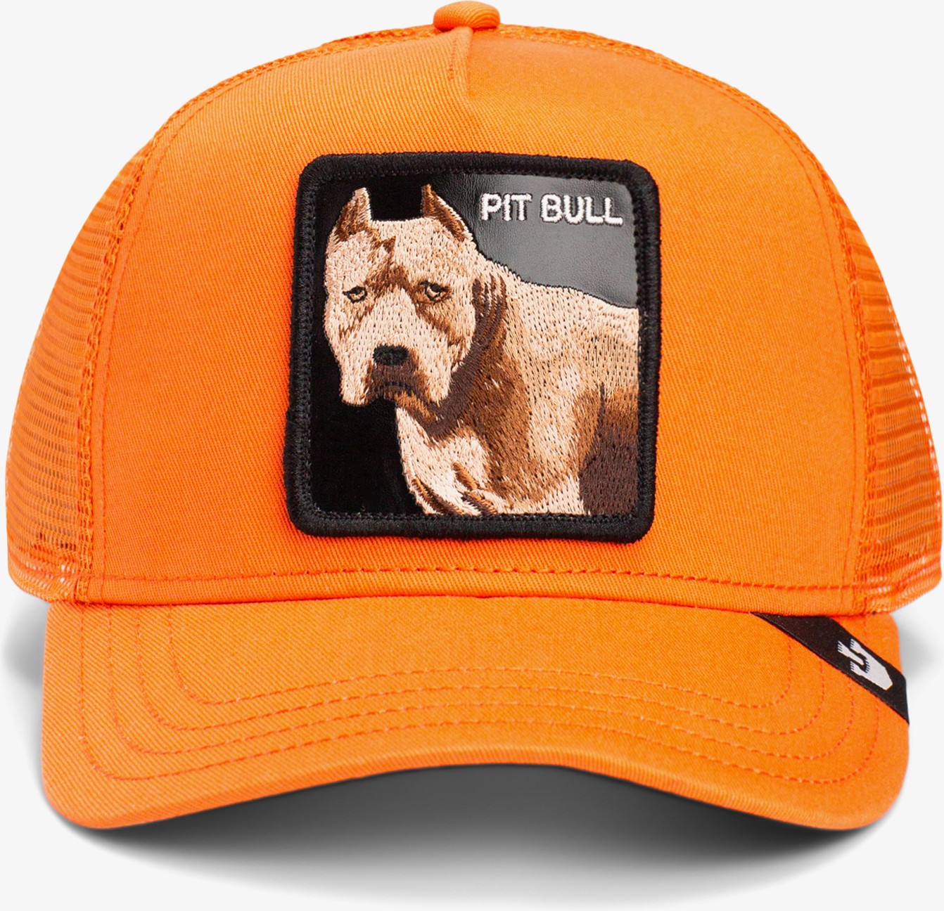 Goorin Bros The Dog Pitbull.orange görsel 2