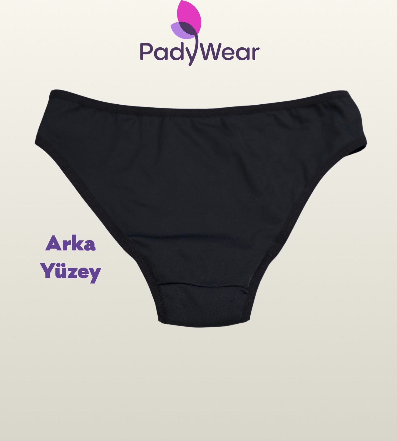 Pady Wear Aqua Standart Regl Bikini Altı görsel 3