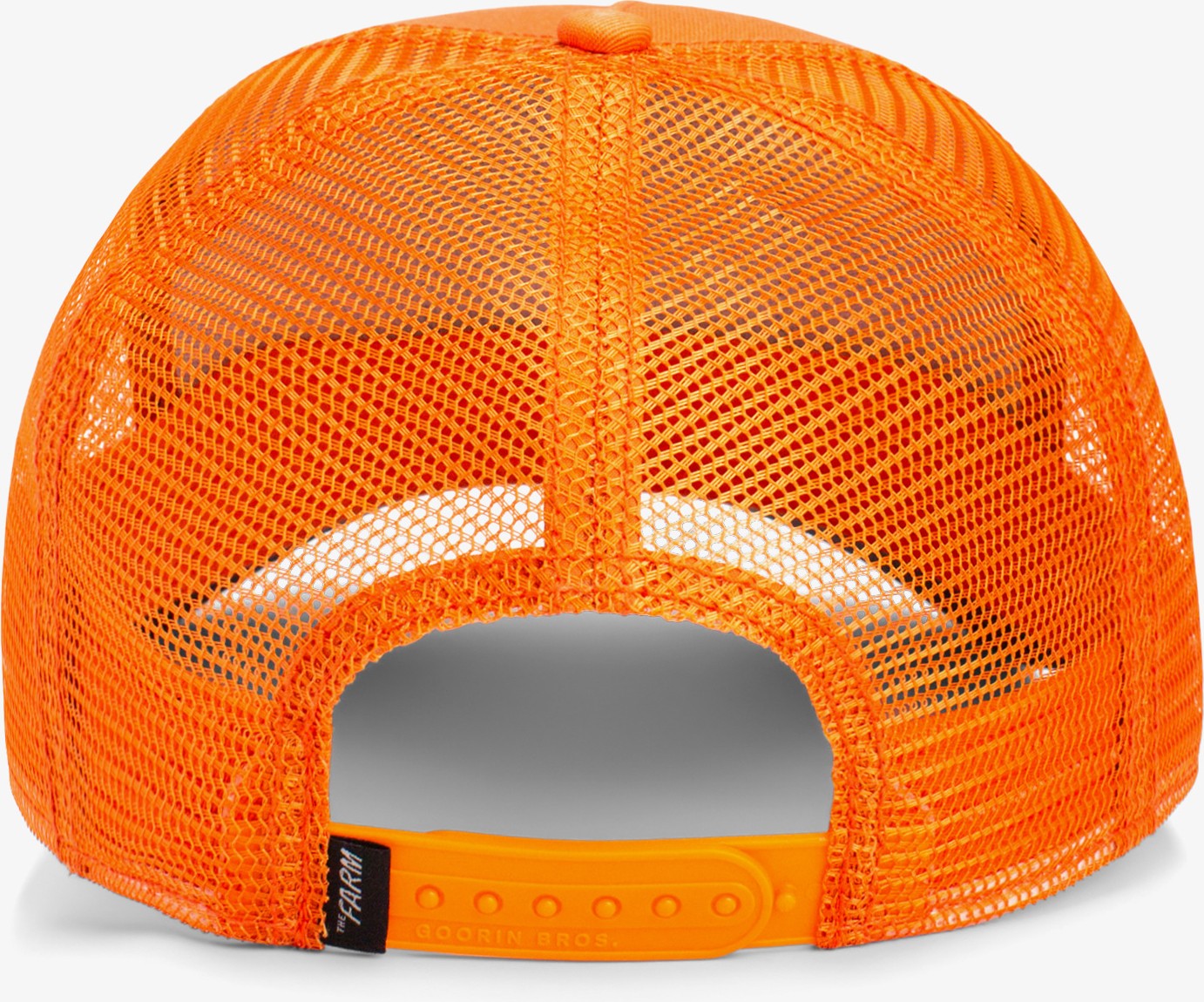 Goorin Bros The Dog Pitbull.orange görsel 3