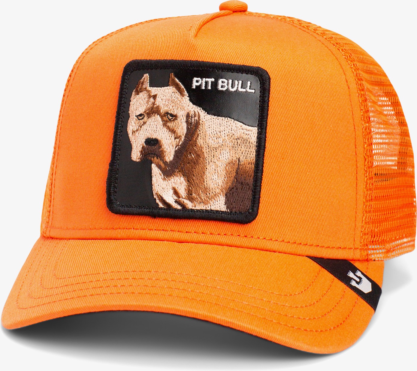 Goorin Bros The Dog Pitbull.orange