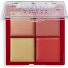 Sweet Chilli Cream Blush & Highlight Quad - Krem Allık Ve Aydınlatıcı 4'Lü