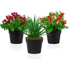 3’lü Set Siyah Mini Plastik Saksıda Yapay Kokina, Aloe Vera ve Nar Çiçeği