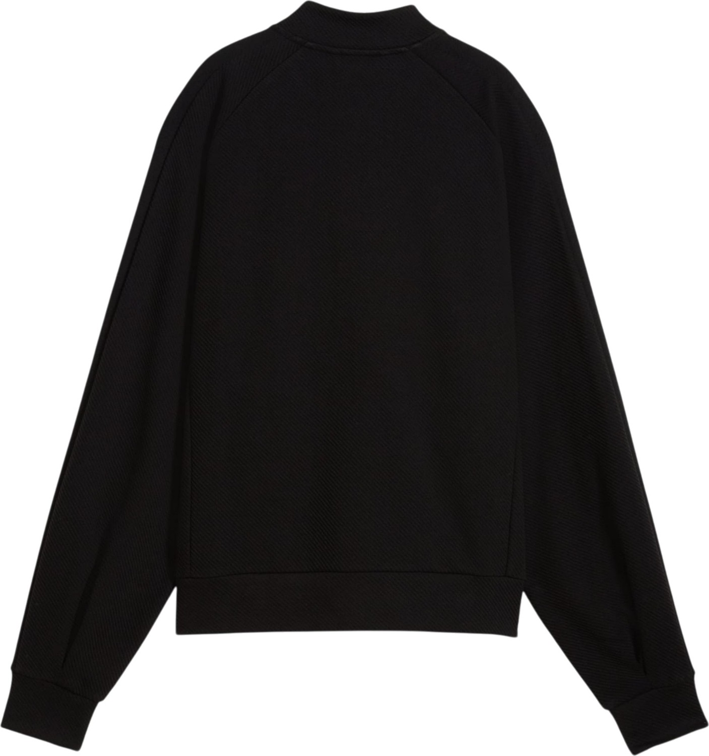 Puma Class Full-Zip Jacket Siyah Kadın Sweatshirt görsel 5