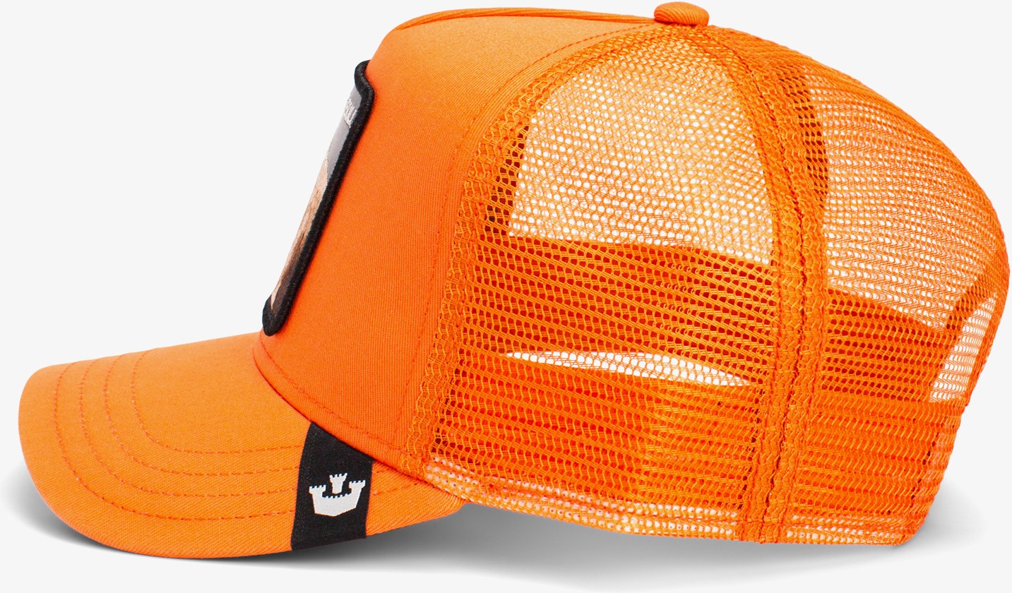 Goorin Bros The Dog Pitbull.orange görsel 4