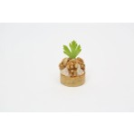 Abbafood 2114-CHEF'S Atelier Tuzlu Mini Yuvarlak Tereyağlı Artizan Tartolet (Tart Tabanı) 36 x 15 mm 36 Adet