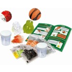 Clementoni Bilim ve Oyun Çılgın Toplar Spor 64323