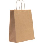 Gizpak Burgu Saplı Kraft Kağıt Çanta 18 x 24 x 8 cm 25 adet