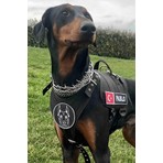 MG Tasma MgTasma Kişiye Özel Siyah Köpek Tasması XL, Isimli ve Logolu Yumuşak Dokulu Konforlu Kullanım