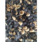 Sarıcaovadan Dolmalık Patlıcan Kurusu Burun Dizi Güneş Kurusu 42 - 44 Adet Yeni Sezon