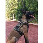 MG Tasma Tactical Haki Göğüs Tasması M - L Beden Yumuşak Dokulu Ayarlanabilir Konforlu Kullanım