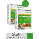 Suda Vitamin Berberine Plus 30 Kapsül 2 Adet