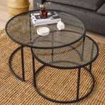 Dekopratik Tokyo Orta Sehpa 80 cm Yuvarlak Füme Kırılmaz Cam 2 li Sehpa Takımı