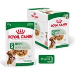 Royal Canin Küçük Irklar için Yetişkin Yaş Köpek Maması 12 x 85g